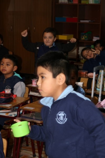 Día de la Actividad Física